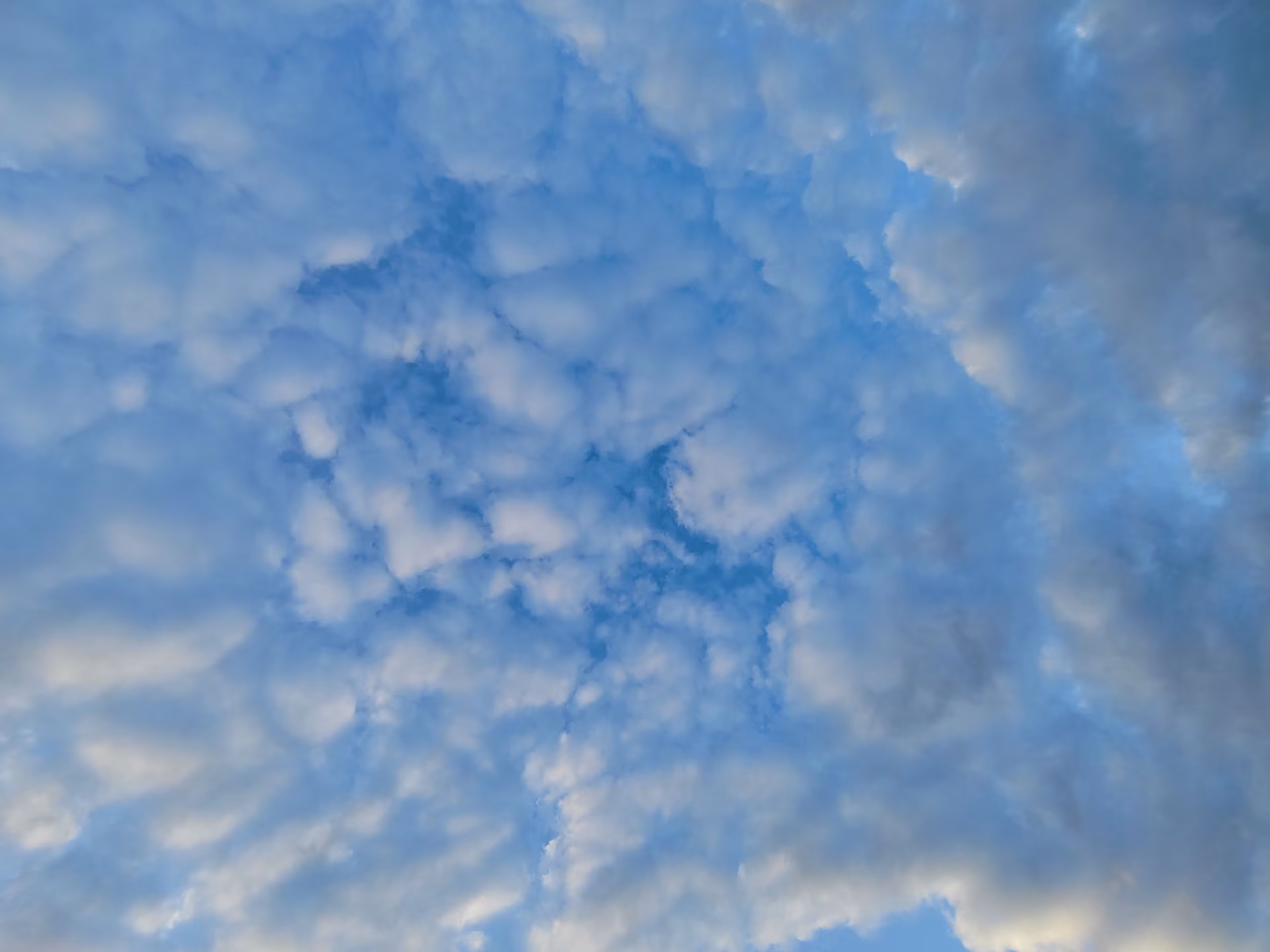 f59e7a0675fbe581fdcfd4dbba68da8e.jpg