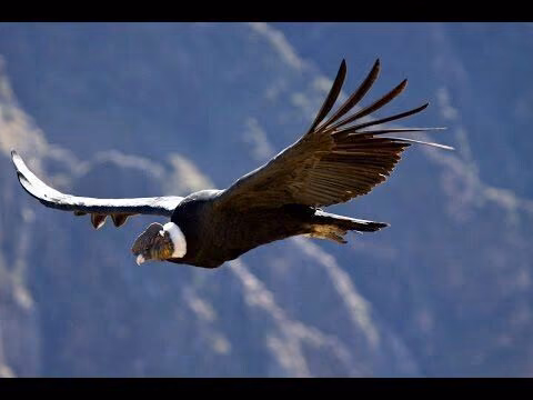 f5a0da1d38fe0c9bdf750564d1856e82.avif