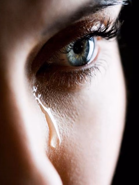 f5b40450872d2206cede6b4fa612f760.avif