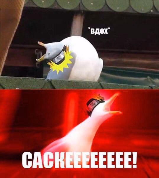f5cf4aea2fc53ae73ee013bc02d70b75.jpg