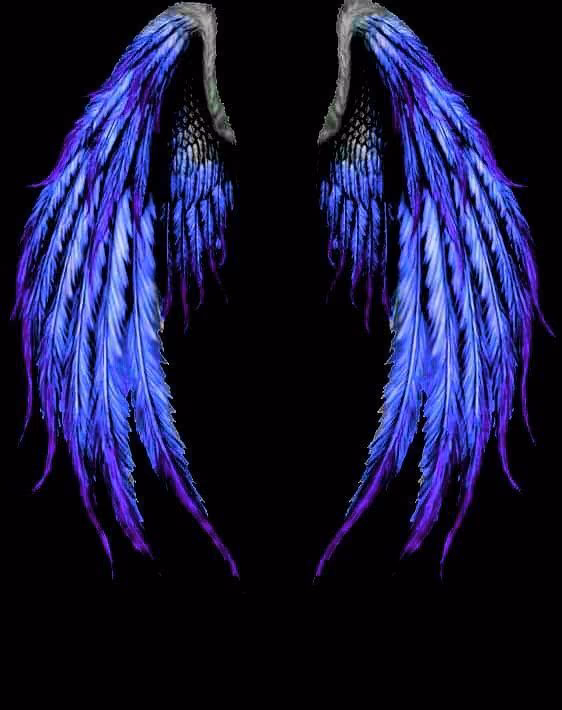 f5f0a5487986c73c6aaafad87628e5a0.avif