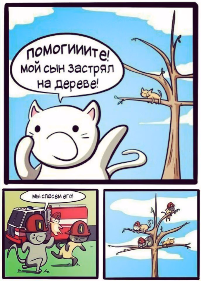 f5f43e319ce5eca352083217aa48e595.jpg