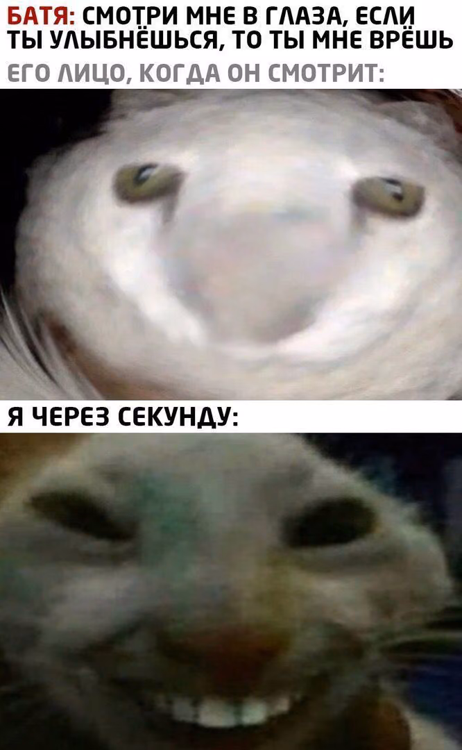 f6149408ba32b956152bcff907135ec8.avif