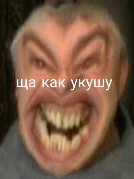 f64c6eb2bf356dd43d15e88f083cf159.jpg
