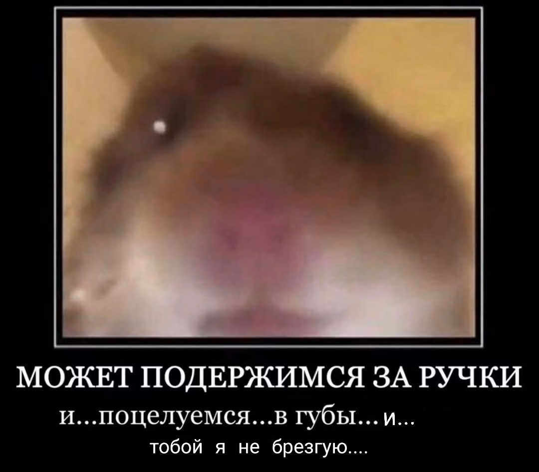 f658903f425eb9e312ecf767ba231ea1.avif