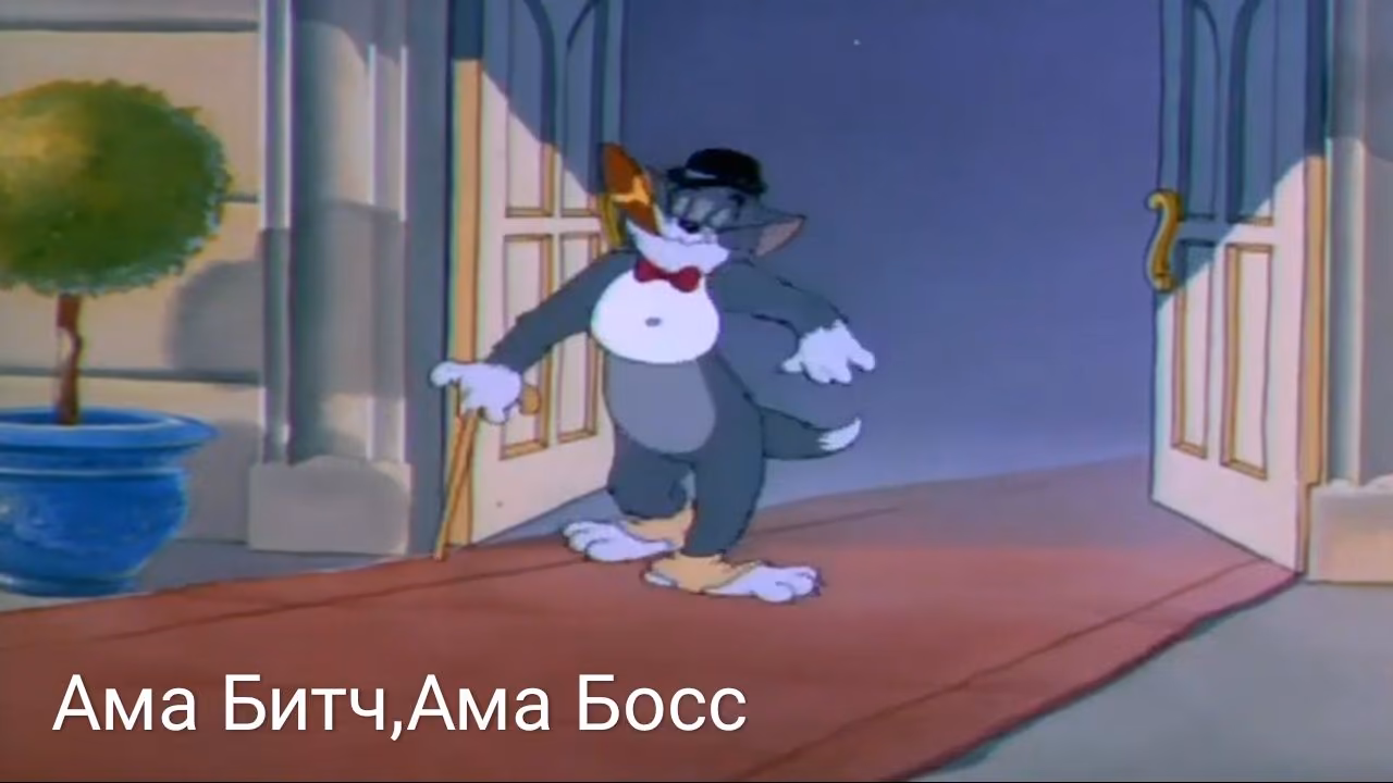 f65900bbedc4207d779b334d9f6ca21b.jpg