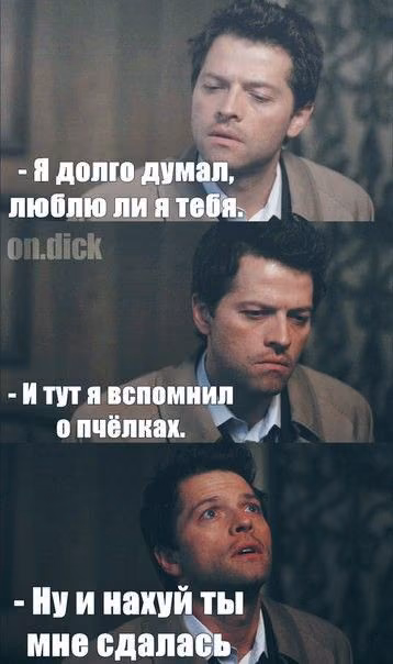 f660dff60fa5150fc2072c34567727ce.avif