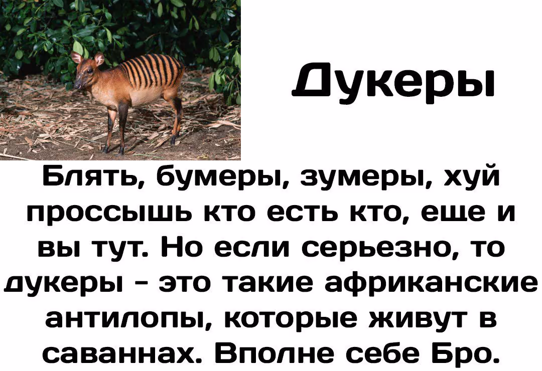 f673afd4053604c3060b093054ef13f8.jpg