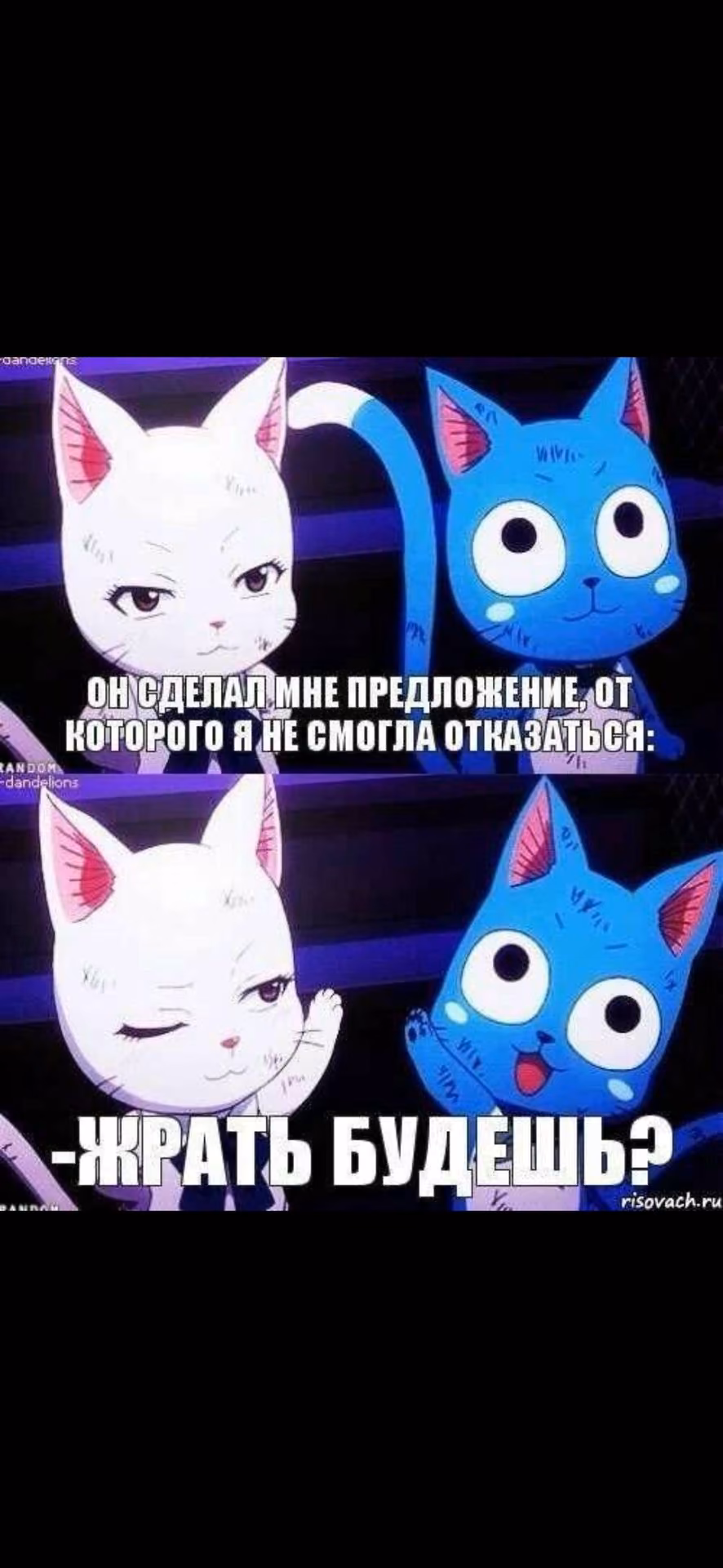 f690a42b347e98426fd158887bc50601.jpg