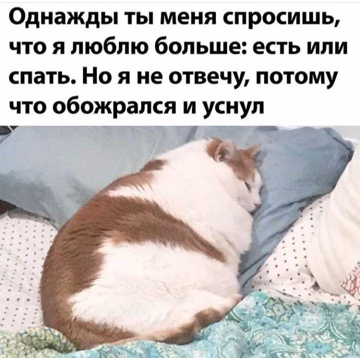 f6953570f44080356dd730cbef2e6f2f.avif