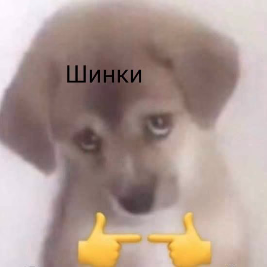 f69ce297454ff4103f69b1e44e58d374.jpg