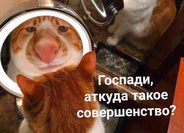 f6a7e3c7984291066481ae944fdc7142.avif