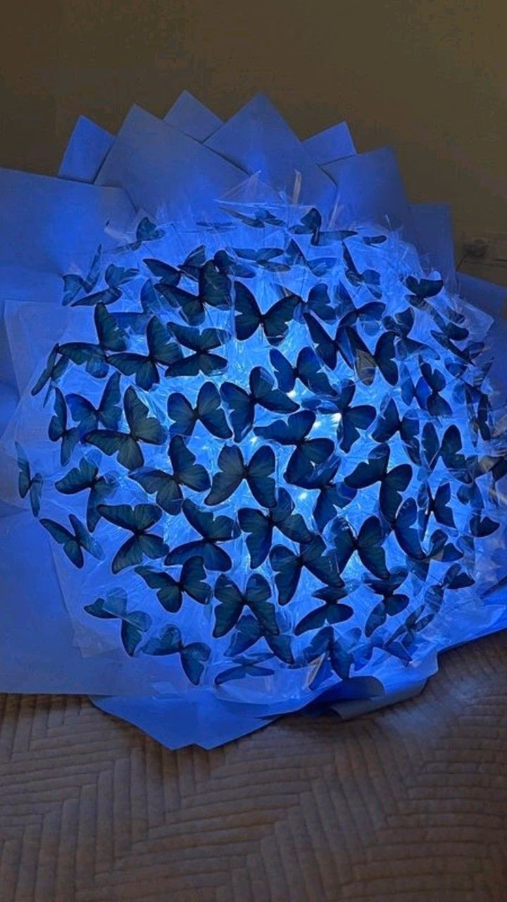 f6b3eb1aaa5d1a59bf824ce4483a16c2.avif