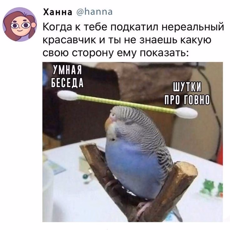 f6b54b135c8e237ebe9ea6a9c285e1f5.avif