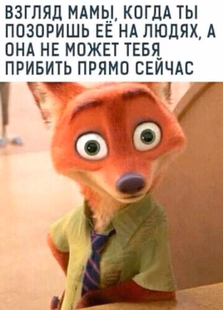 f6b6e5696fbe0a129efdb4acf60a03ae.avif