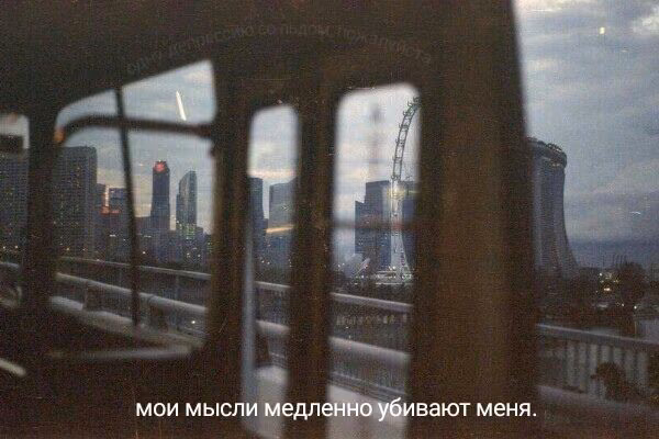 f6b9b5a4f2a5e2f400f4360a88e81a4d.jpg