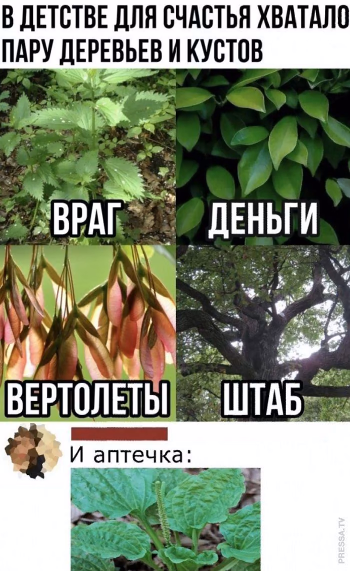 f6bf07984181642ec01fa2ccb15aeabe.avif