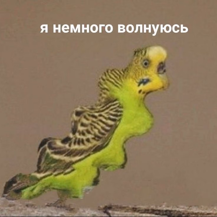 f6c1f3f63237332159143b2f0190a18f.jpg
