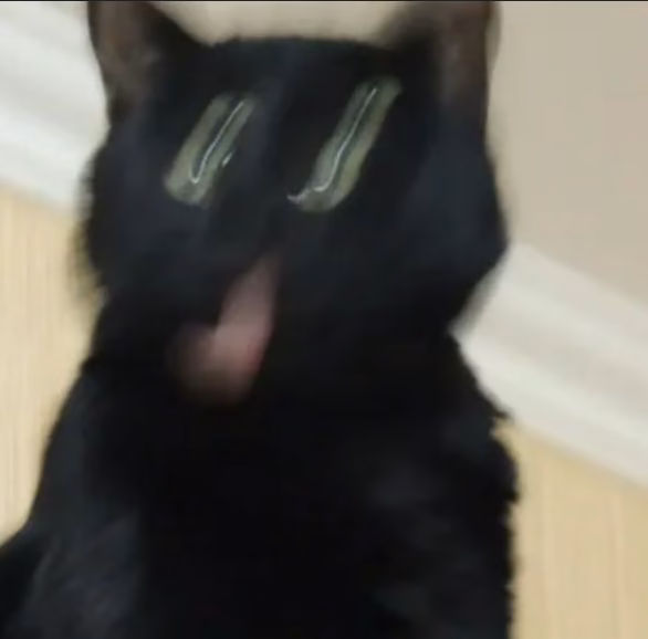 f6cd3f8da8ca26956697681a0c09ee4a.jpg