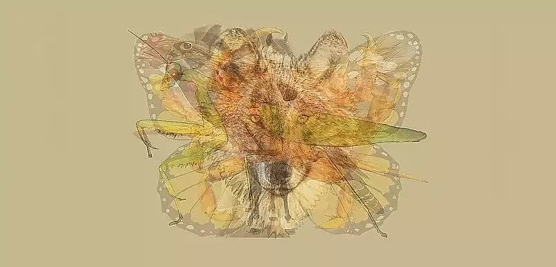 f6cf9a2d6da0c31d03a540f68266f5b7.avif