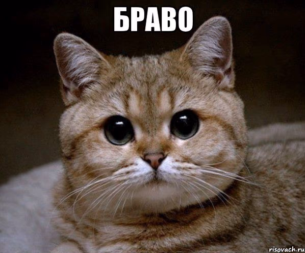f6d07366049a8abc46e895ab9cd17b10.avif
