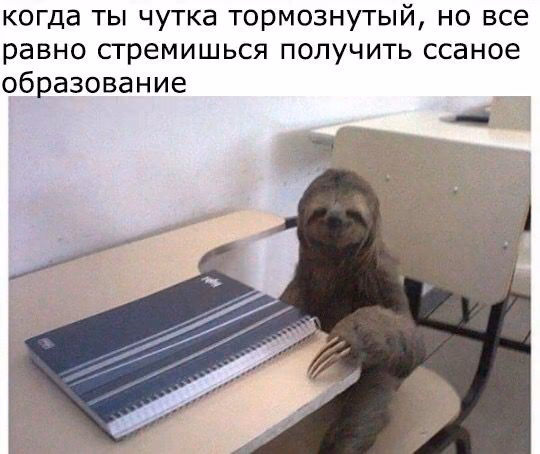 f6de47e1dfed45f0f06fa64fb8633d89.avif