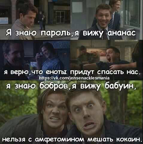f6e5c74193ed410dc35be5c5127ac864.avif