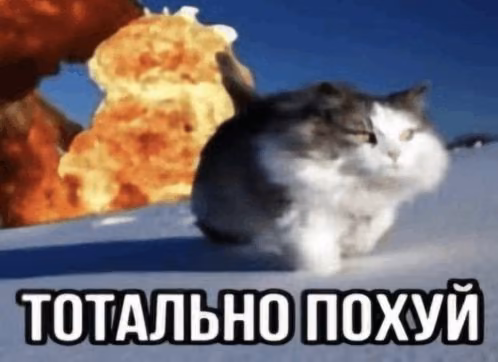 f6e683c8cc7016c55f19cd55f1abab49.avif
