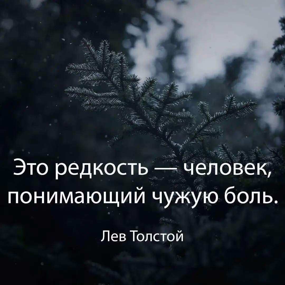 f6e97c8be4ab1af7e45f533edd6c5e4f.jpg