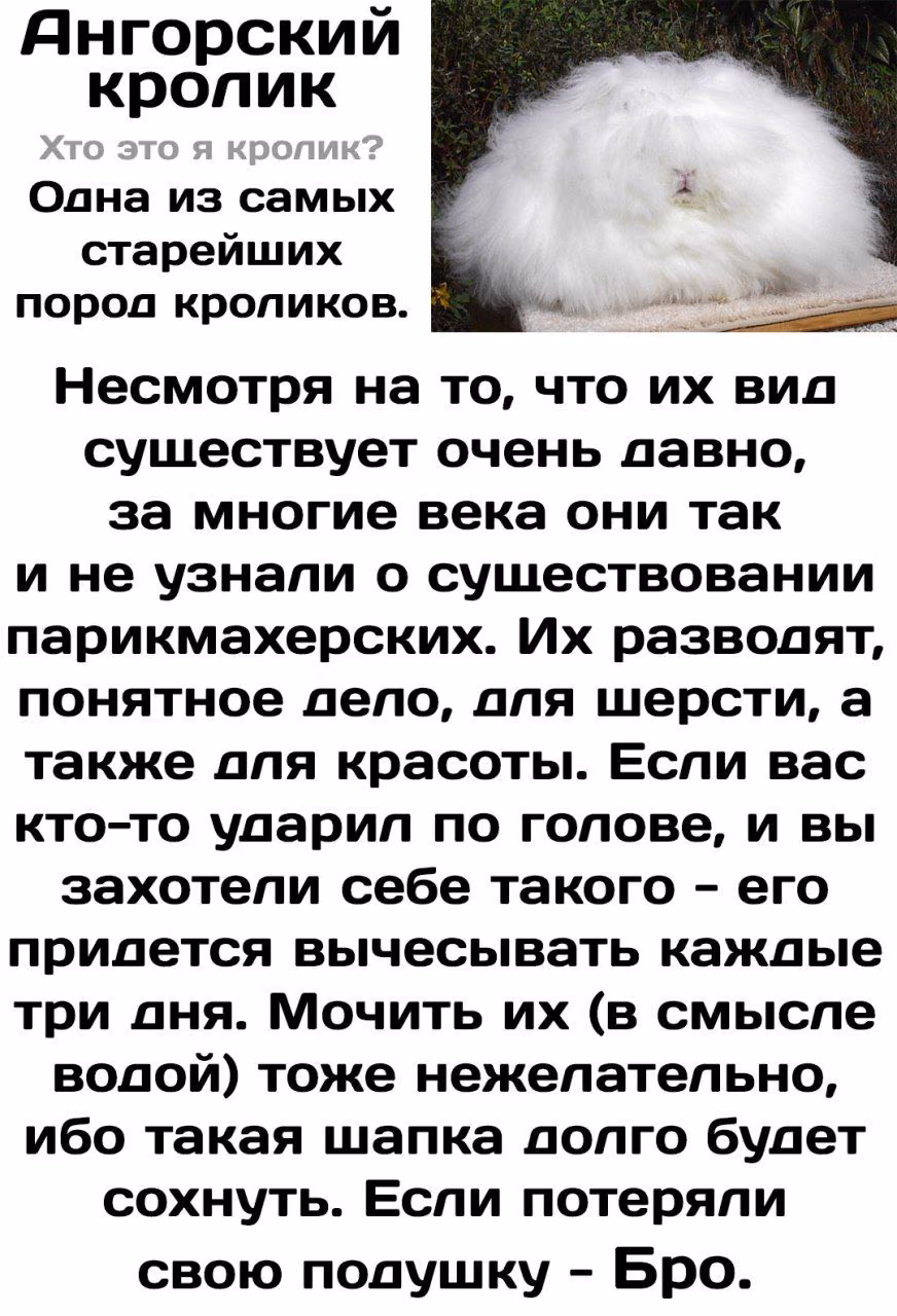 f6fd2257d86e201a66263ee9d3c7fb37.jpg