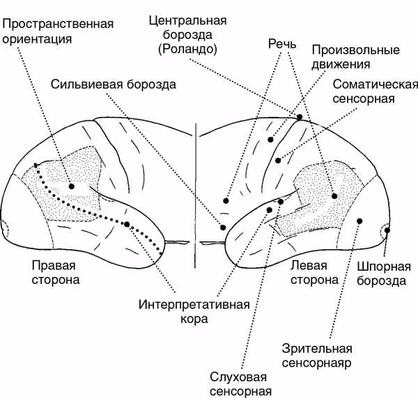 f708f9d7011e8b74796446dbf26a5030.avif