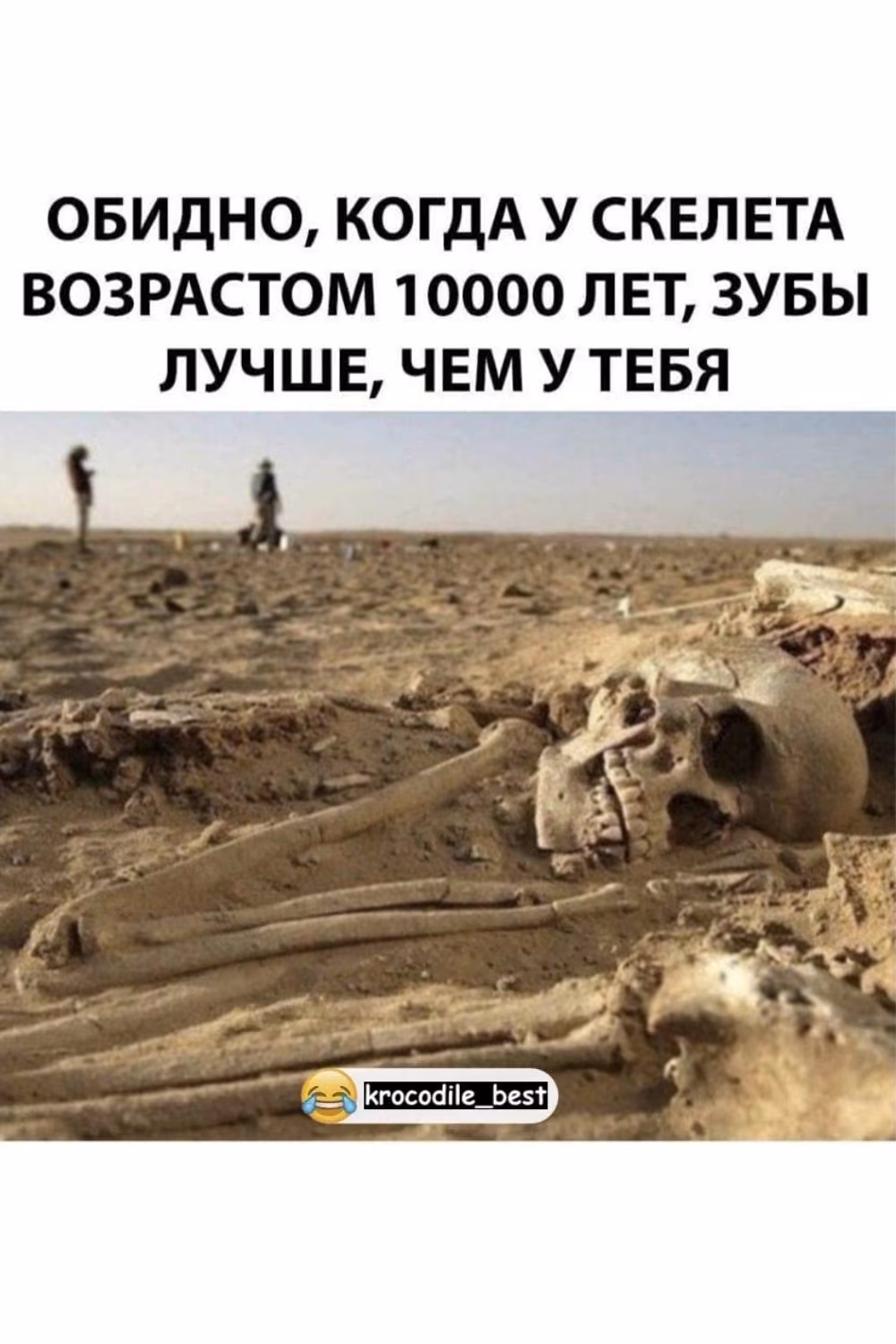 f7104b0ad598d0cd13fdcd6d46751db0.jpg