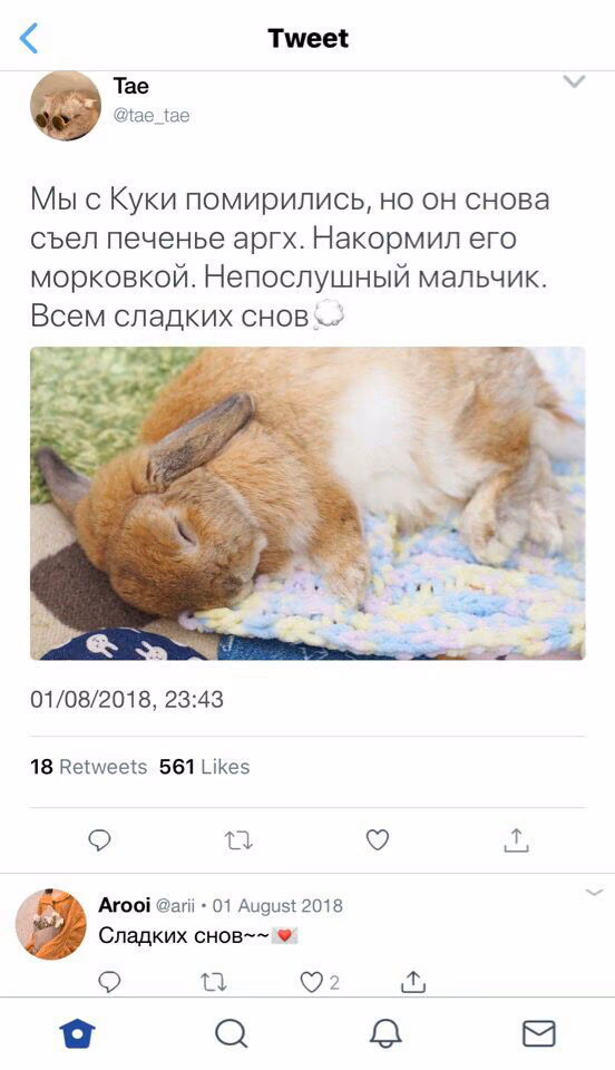 f71d8b39ecfc36d1c512b4d31a95f61f.jpg