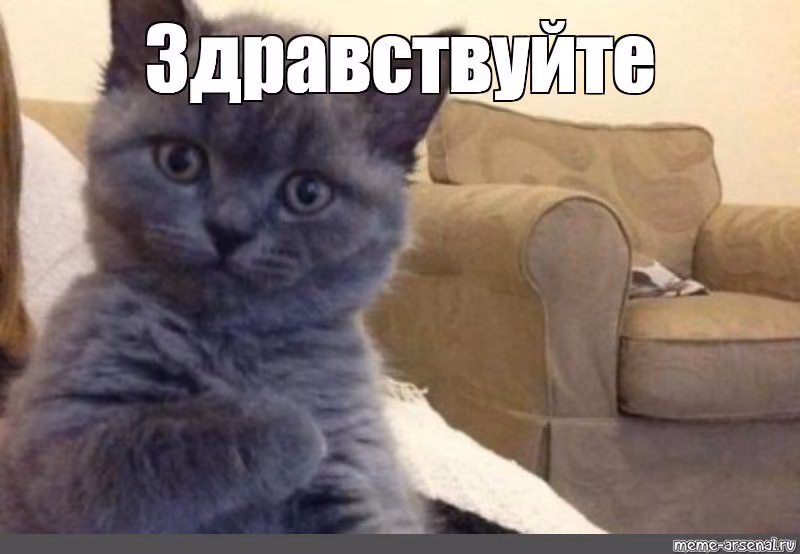 f7475c0f1d21d01042258926628c84c1.avif