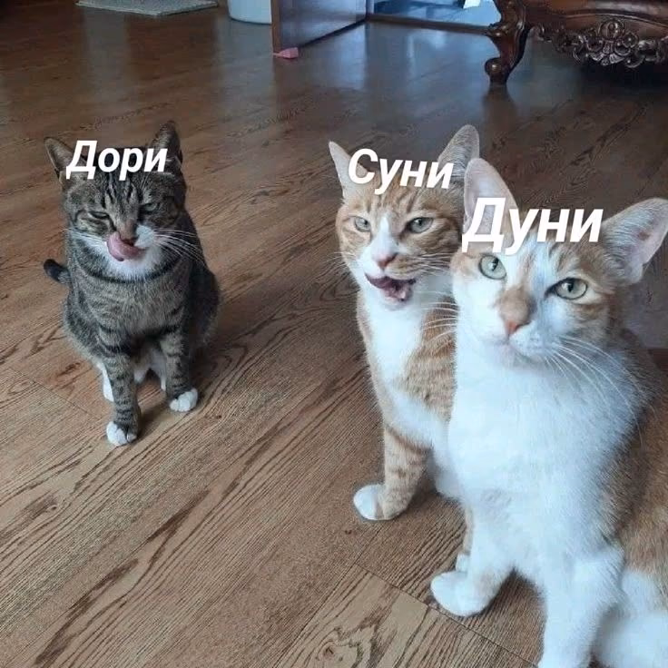 f74833c05dd66e27c45569f4a077381f.jpg