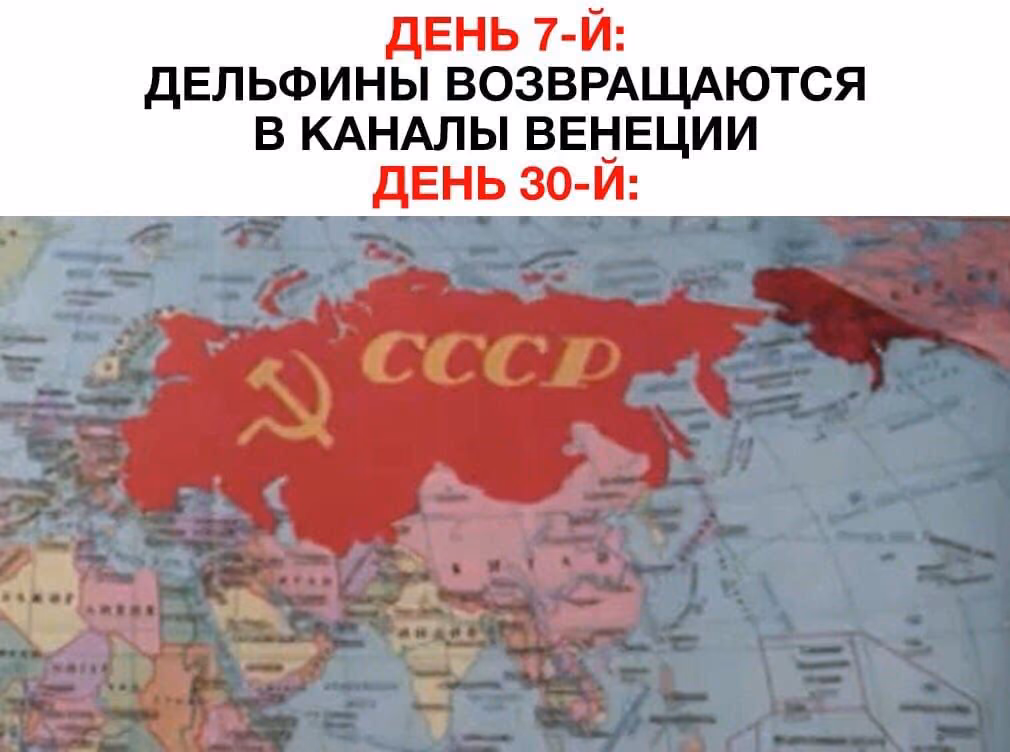 f757af5170462532f57ff13865d33b3f.jpg