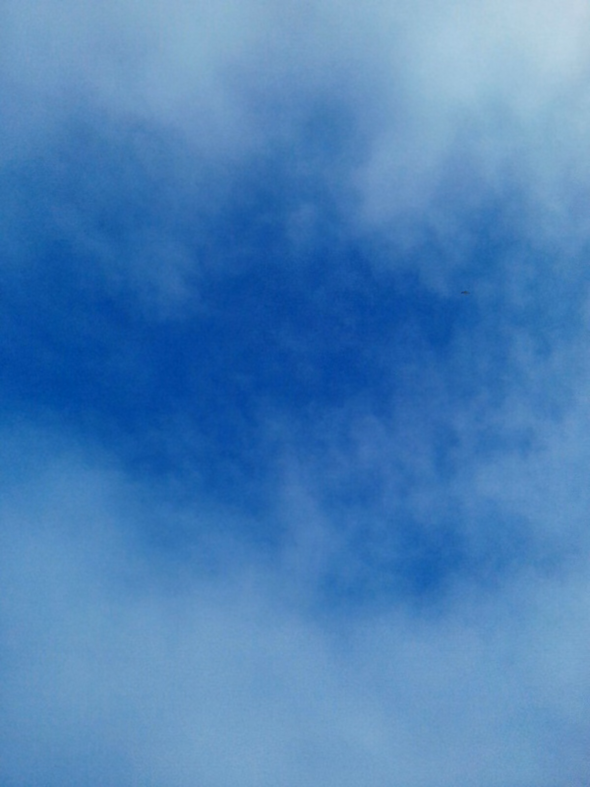f765c772c3434595aaa0f26bc332701f.jpg