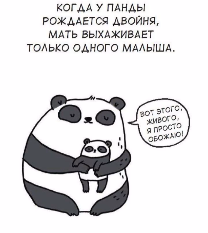 f784d946cbb5e1755a6989c283f561ab.jpg