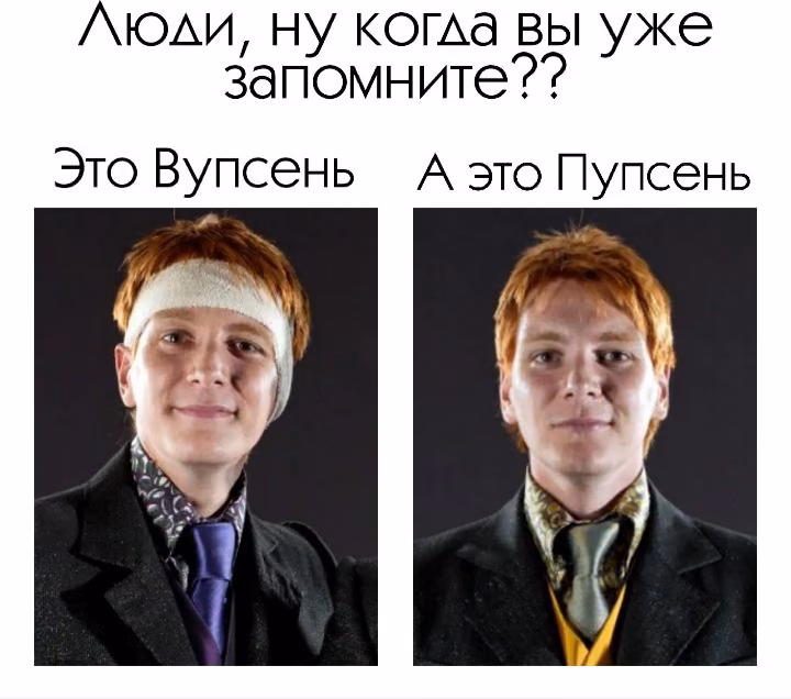 f7a53c7549b5029eda6630abfb62c980.avif