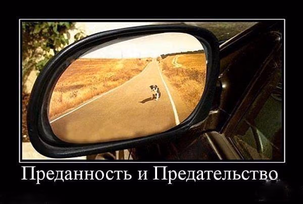 f7a555c8121dc4545971df7704cd9cea.avif