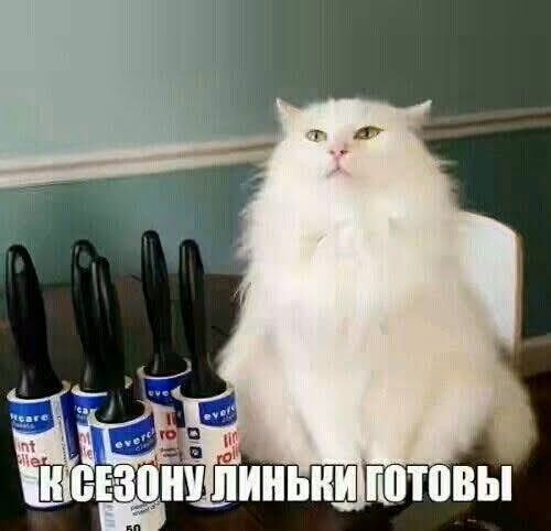 f7ad2594d15c3d5fe90135888353772b.jpg