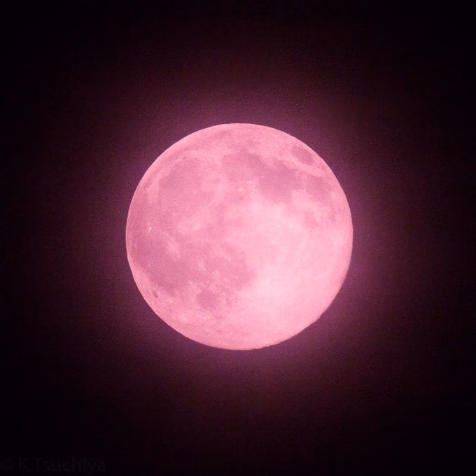 f7af654e342defe8be080b590b2160f5.jpg