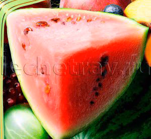f7b638afbf53f2bdb18fe549249e9924.avif