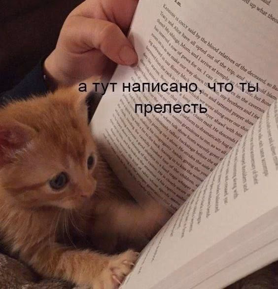f7c21c16999c97f9a66b7ef21d26baaf.avif