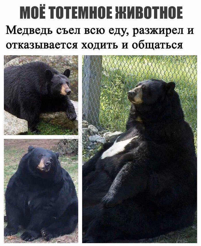 f7d422900f866f4a89a10931ddcf5513.avif