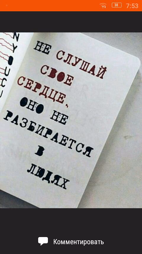 f7e185c15f75d3c4cafc88a57fb6ca31.jpg