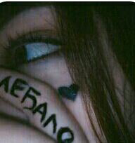 f7fdcc8e2c64a42296db0dc94032a609.avif