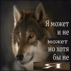 f8075fcb33fa5a5c1ee9a25a1ffee5b3.avif