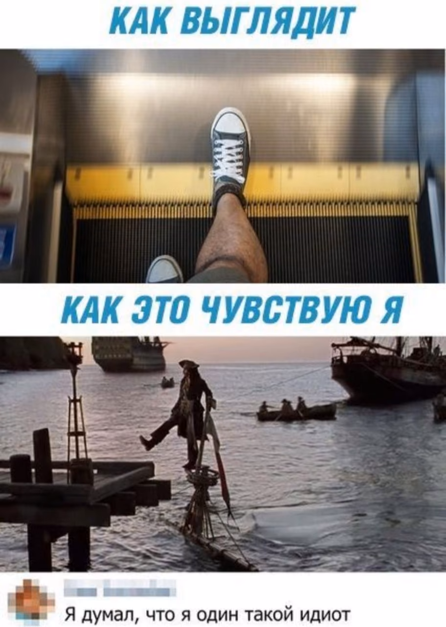 f80acfca1e329562a0ec6de29fd0a0b2.avif