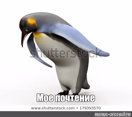 f81a7581819fd33ddbe0219ffebac8a1.avif